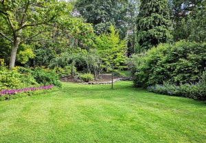 Optimiser l'expérience du jardin à Neuvy-en-Dunois